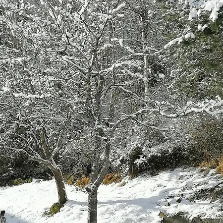 Riedbach Innsbruck