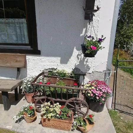 Riedbach * Innsbruck