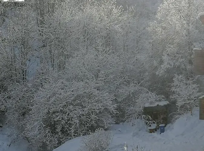 Riedbach 因斯布鲁克