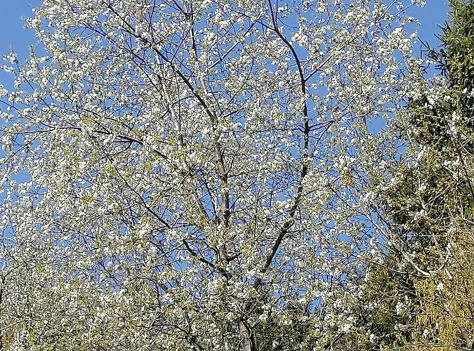 Riedbach Apartmán Innsbruck