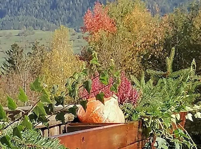 Riedbach * Innsbruck