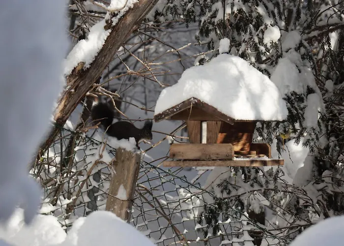 Riedbach * אינסברוק